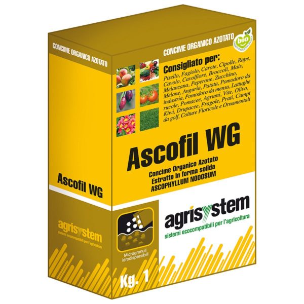 ASCOFIL WG