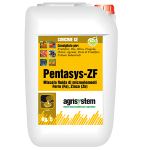 PENTASYS-ZF - immagine 1