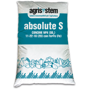 ABSOLUTE S - immagine 1