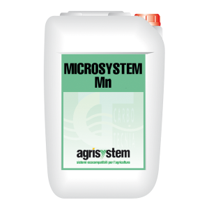 MICROSYSTEM Mn